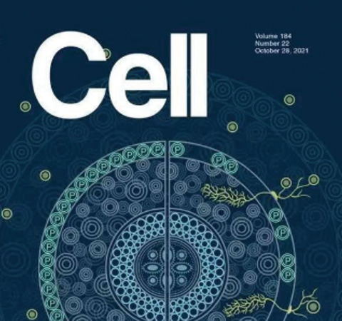 祝賀王二濤老師團(tuán)隊(duì)又一佳作榮登Cell期刊！