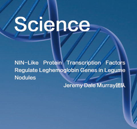 祝賀Jeremy Dale Murray團(tuán)隊(duì)佳作榮登Science期刊！