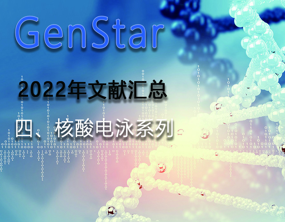 GenStar 2022年文獻(xiàn)匯總（四、核酸電泳系列）